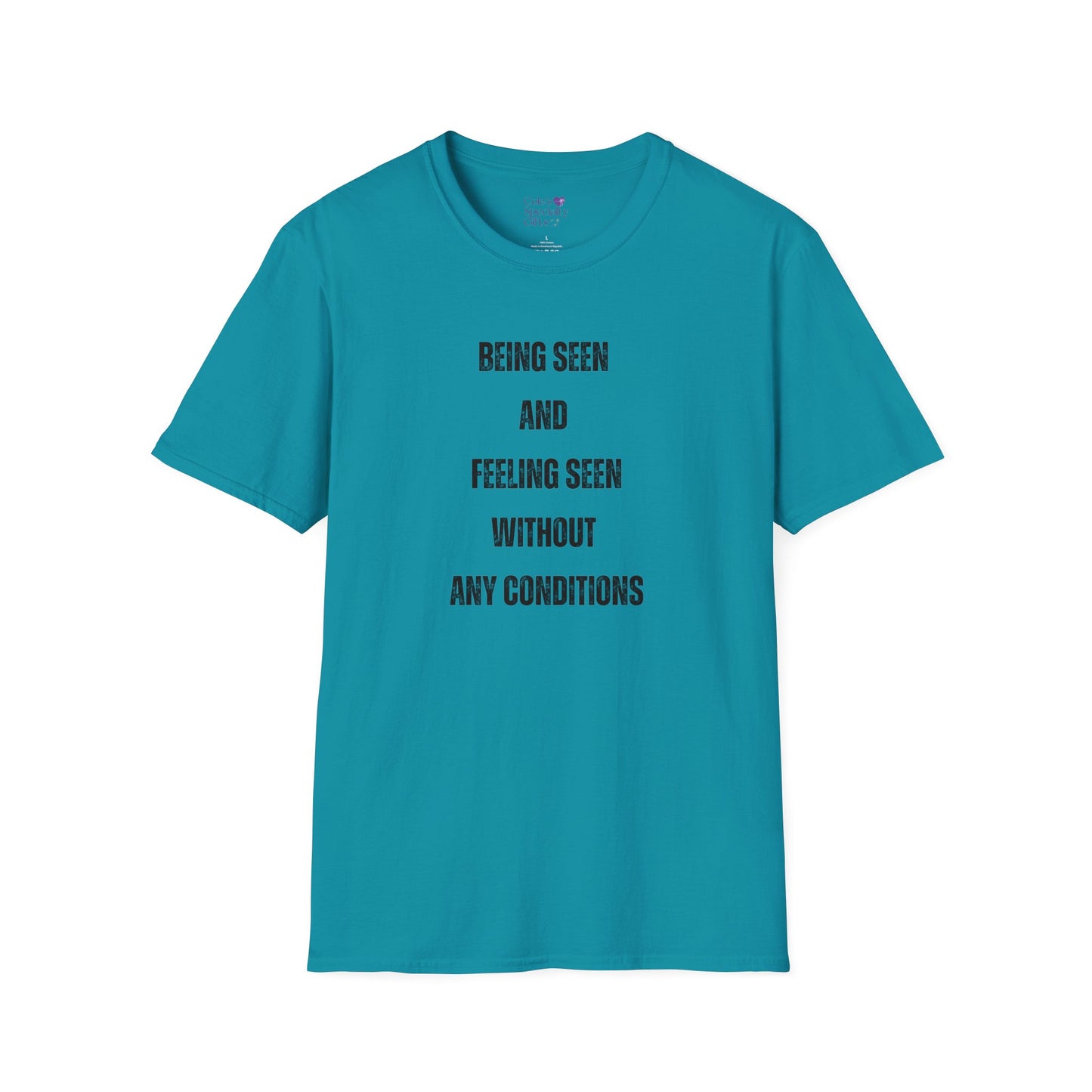 Being Seen and Feeling Seen - Unisex Softstyle T-Shirt